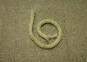 3-44-00888 Load Door (4) Strand Gasket 3/8 (TLC/SMS/44MAG)